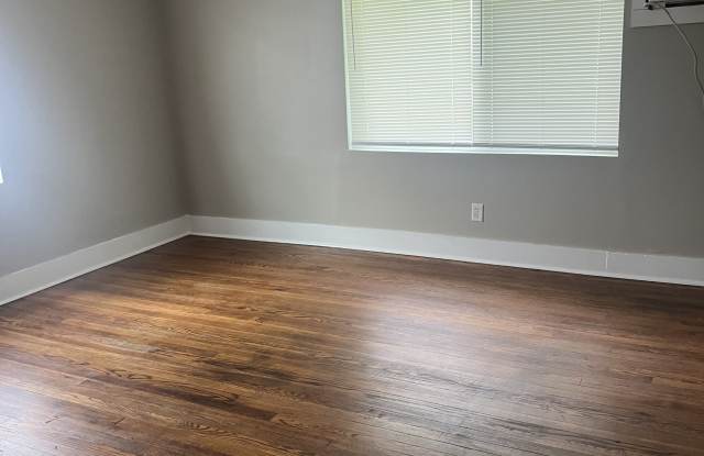 1815 S Ocoee Street Apt. 4 Gallery 3