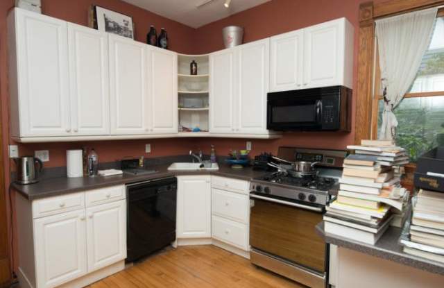 1917 Berteau - 1917 W Berteau Ave, Chicago, IL 60613