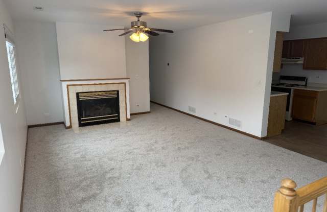 437 Village Creek Dr - 437 Village Creek Drive, Lake in the Hills, IL 60156