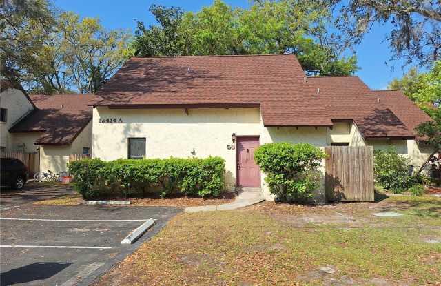 12414 N 58TH STREET - 12414 North 58th Street, Hillsborough County, FL 33617