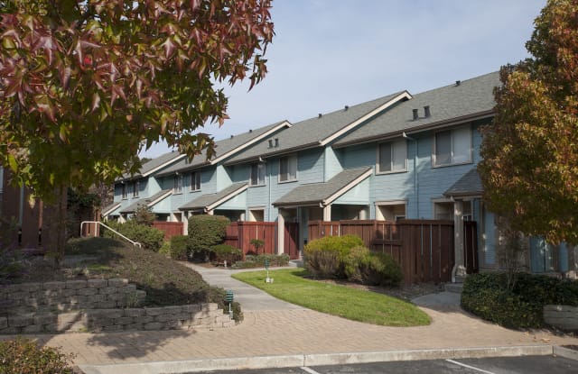 Pacific Vista photos photos