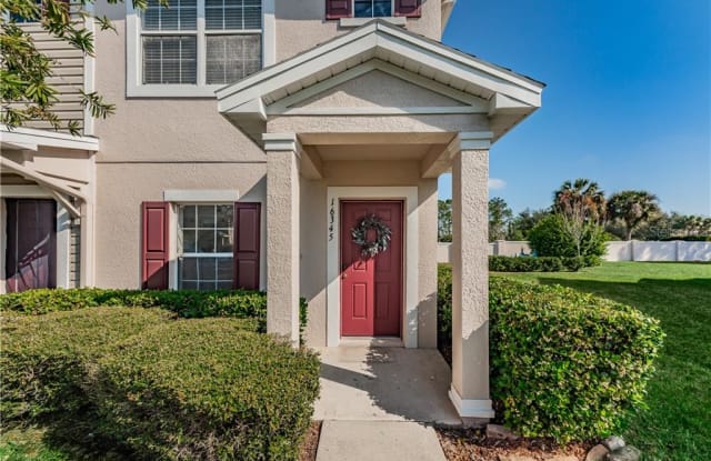 16345 SWAN VIEW CIRCLE - 16345 Swan View Circle, Odessa, FL 33556