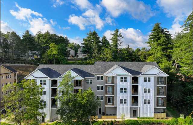 The Collection on 421 photos photos