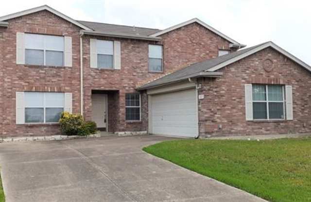 1217 Singletree Court - 1217 Singletree Court, Kaufman County, TX 75126