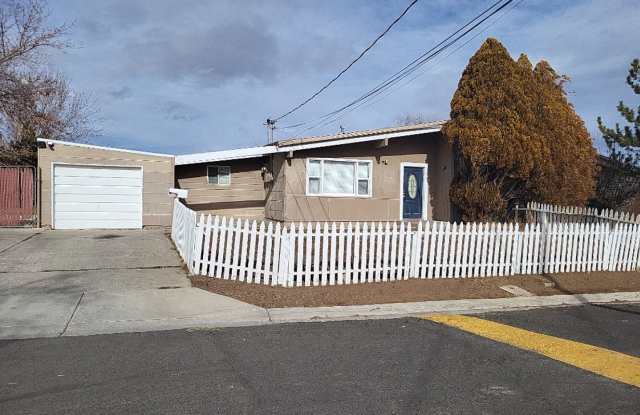 5203 Allegheny Street - 3+BR home in Stead photos photos