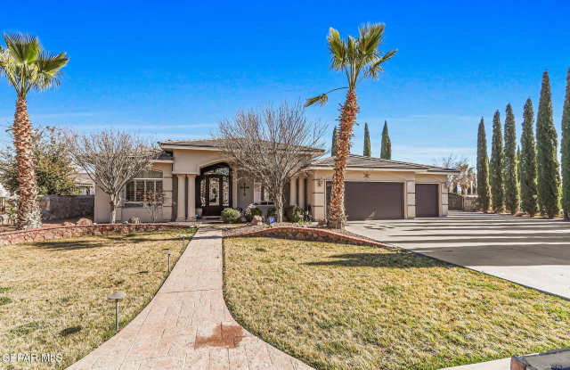 312 DESERT GARDEN Drive photos photos