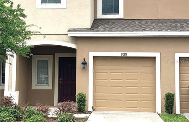 7081 TOWNE LAKE ROAD - 7081 Towne Lake Road, Progress Village, FL 33578