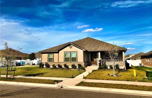 1110 Black Canyon St - 1110 Black Canyon St, Pflugerville, TX 78660