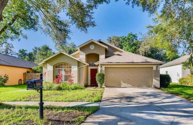 2733 Brookville Drive - 2733 Brookville Drive, Bloomingdale, FL 33596