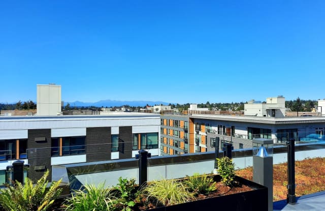 Our Newest Luxury Studios in Ballard! photos photos