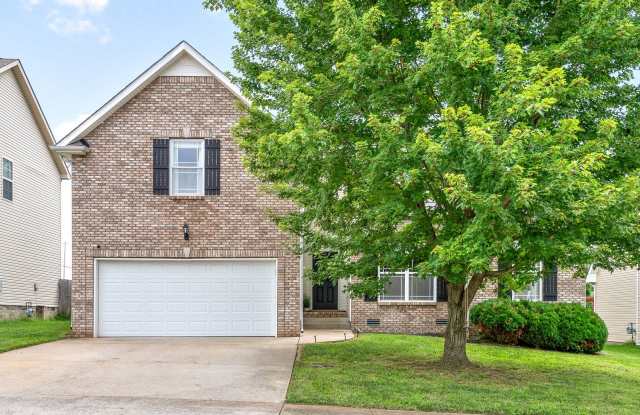 Gorgeous 3 Bedroom 2.5 Bath Pet Friendly Home For Rent!!! Gallery 3