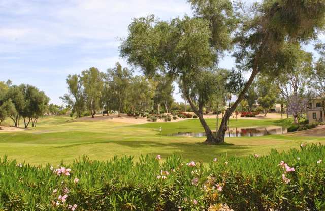 7272 E GAINEY RANCH Road photos photos