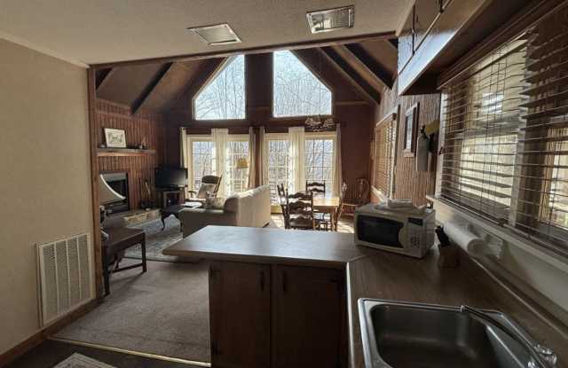 490 Chalet Village Dr Gallery 4