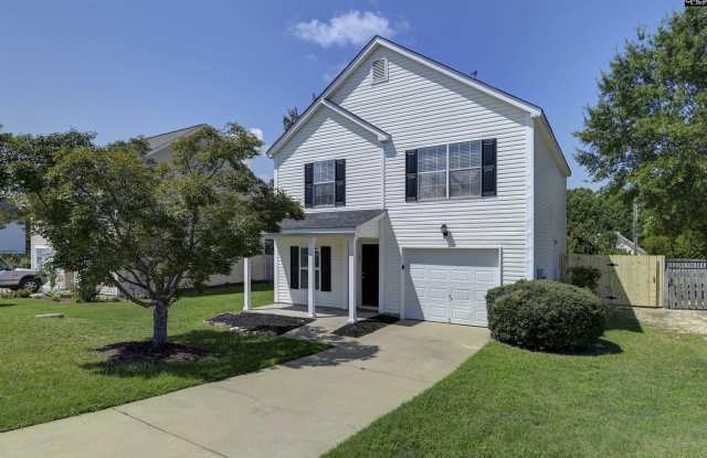 141 Wigmore Lane - 141 Wigmore Lane, Lexington County, SC 29072