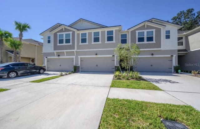 10128 NEWEL VALLEY LOOP - 10128 Newel Valley Loop, Riverview, FL 33569