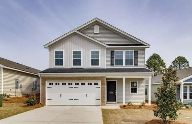 1039 Begonia Drive - 1039 Begonia Drive, Lexington County, SC 29073