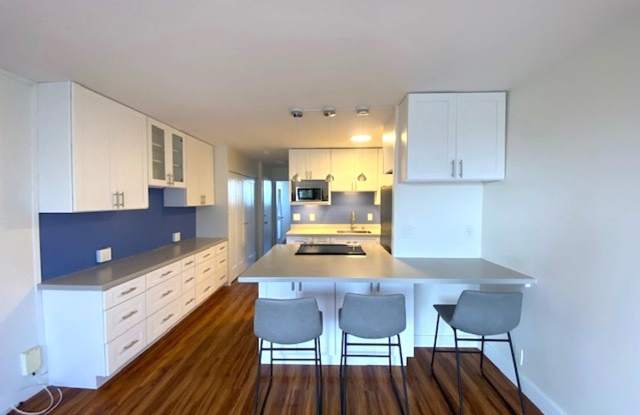 Recently Renovated 1 Bedroom in Honolulu photos photos