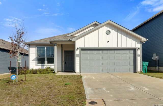 10243 Band Wagon photos photos