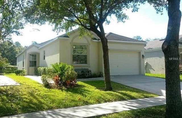 6022 KITERIDGE DRIVE - 6022 Kiteridge Drive, Fish Hawk, FL 33547