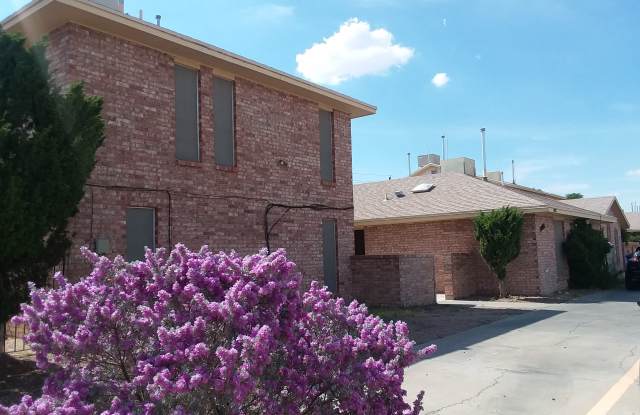 1905 Amy Sue Drive - 1905 Amy Sue Drive, El Paso, TX 79936