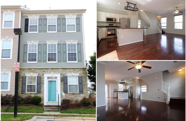 21786 DRAGONS GREEN Square photos photos