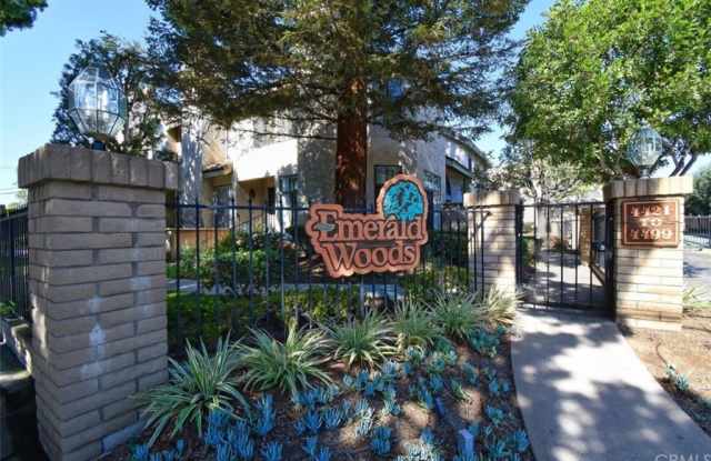 4423 Emerald Street Gallery 2