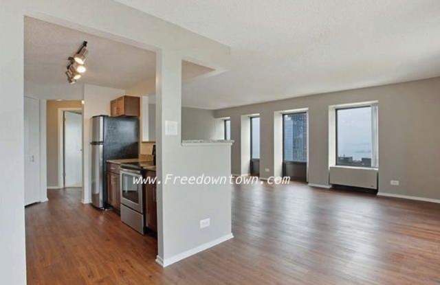 645 N Mcclurg Ct 2905 - 645 N McClurg Ct, Chicago, IL 60611