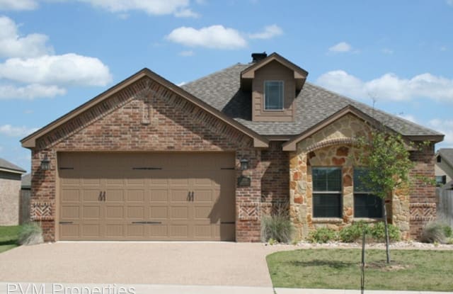 3141 Silver Saddle - 3141 Silver Saddle Drive, Robinson, TX 76706