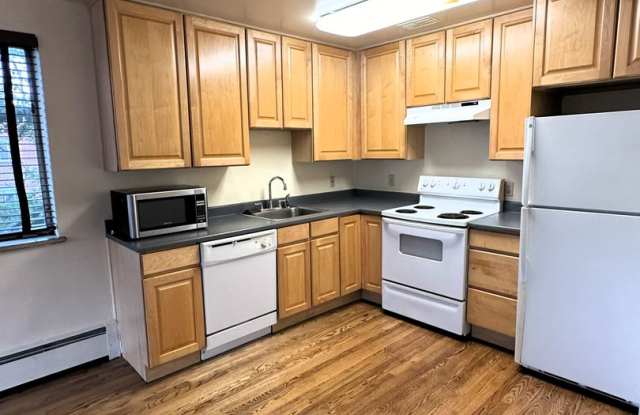 Bright And Updated 1 BD/1BTH Condo in Capitol Hill!! Water, Sewer, Trash, Gas Included!! - 925 East 8th Avenue, Denver, CO 80218
