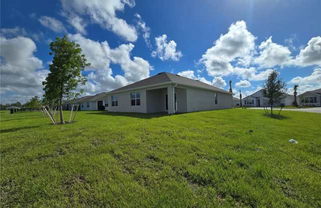 9489 TURTLE GRASS Circle Gallery 3