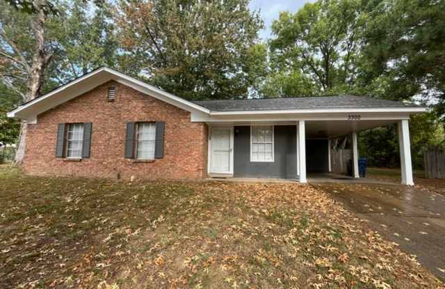 Renovated 3 Bedroom 1.5 Bath Home for Rent! Gallery 1