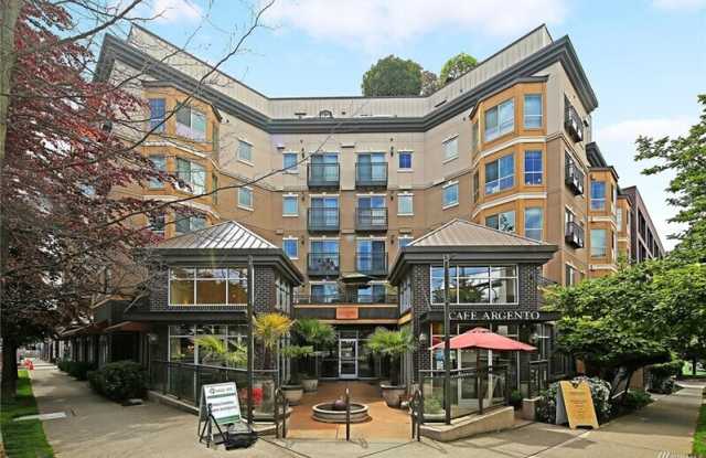 1125 E Olive St photos photos