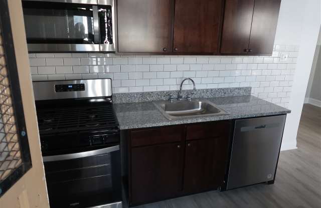 5043 North Springfield Avenue - 5043 North Springfield Avenue, Chicago, IL 60625