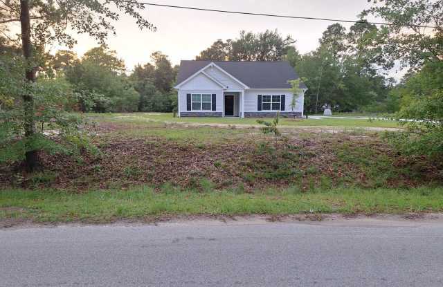 Newer Three Bedroom Home in Elgin SC! photos photos