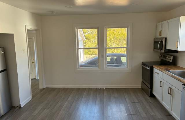 Fully Renovated 2-Bedroom Home with Huge Yard in Ferguson! photos photos