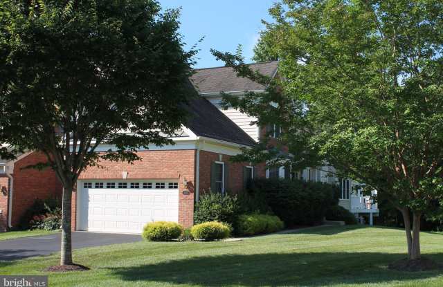 5743 AMELIA SPRINGS CIRCLE Gallery 3