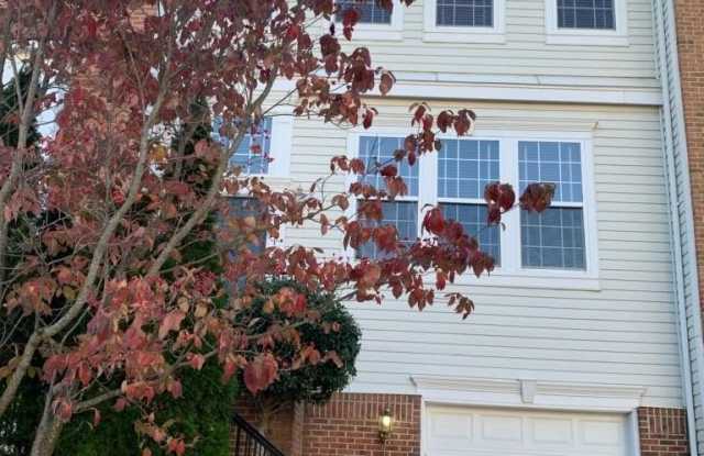 22519 MAISON CARREE SQUARE photos photos