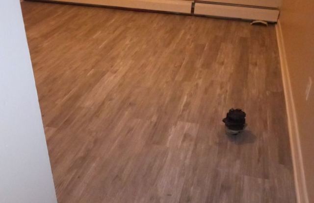 22 ELLIOTT ST photos photos