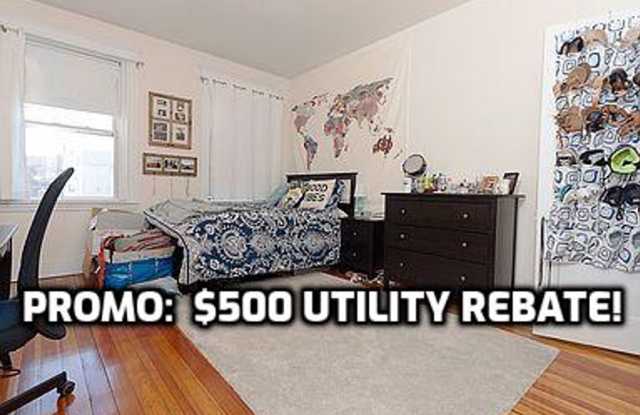 See YT Video Tour!  XL Modern Apartment w deck, PERFECT for "Socially Inclined" groups!  Near BU!  Special Promo Avail Gallery 3