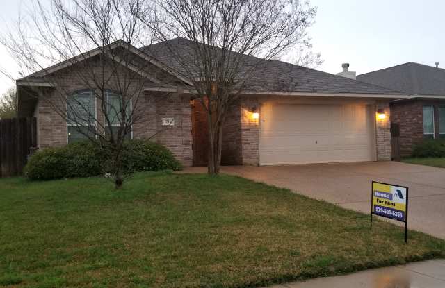 1015 Emerald Dove Ave photos photos