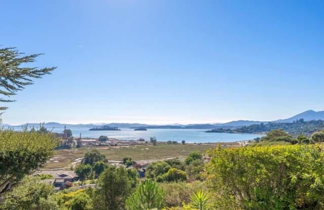 Bay View Home In Peacock Gap photos photos