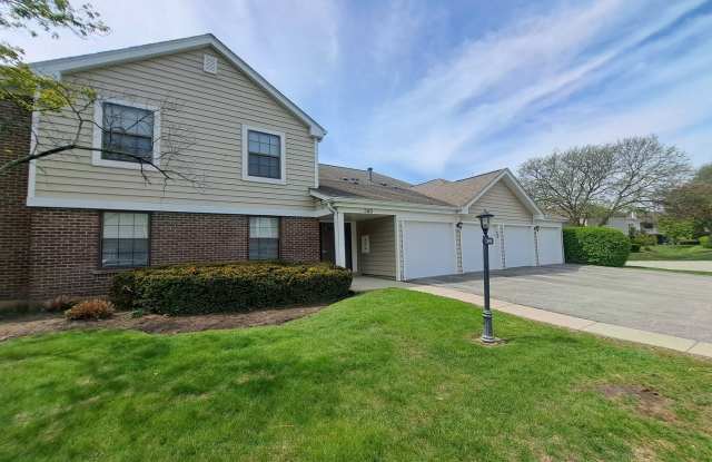 349 Newgate Court - 349 Newgate Court, Schaumburg, IL 60193