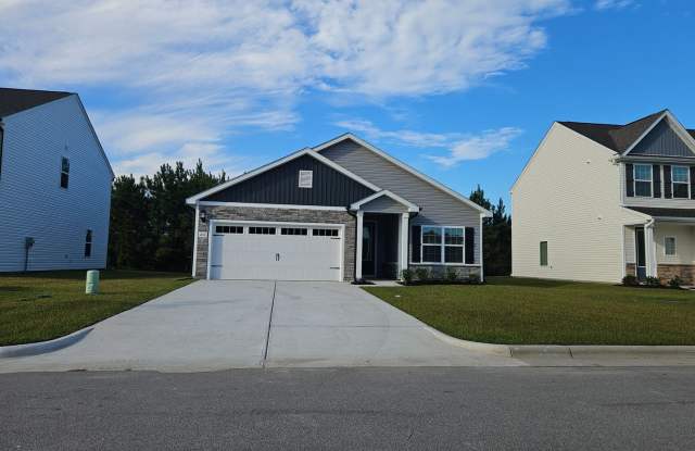 Brand new 3 bedroom 2 bath home in the Southwater Village community - Hampstead Gallery 3