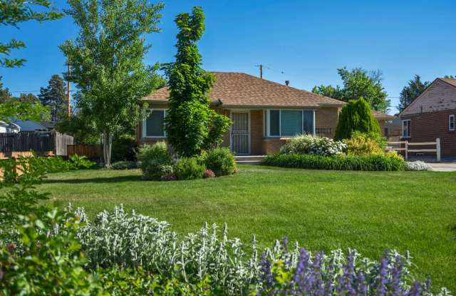 Amazing 4BR, 2BTH in Park Hill!! photos photos