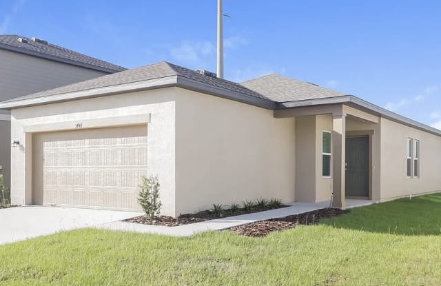 34965 Daisy Meadow Loop - 34965 Daisy Meadow Loop, Pasadena Hills, FL 33541
