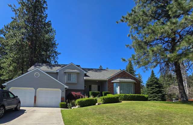 Cute home in the Great Brentwood Forest Neighborhood! photos photos