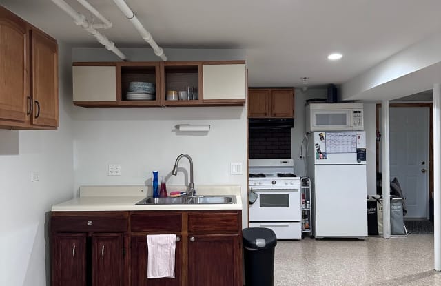 515 South Boulevard - 515 South Boulevard, Oak Park, IL 60302