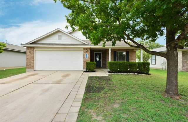 300 Will LN - 300 Will Lane, Hutto, TX 78634