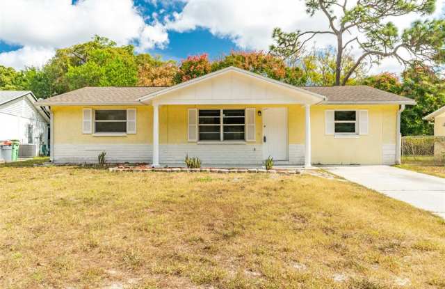11902 Oceanside Dr - 11902 Oceanside Drive, Bayonet Point, FL 34668