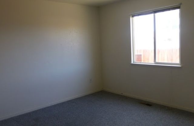 714 Van Gogh Court - 714 Van Gogh Court, Sun Valley, NV 89433